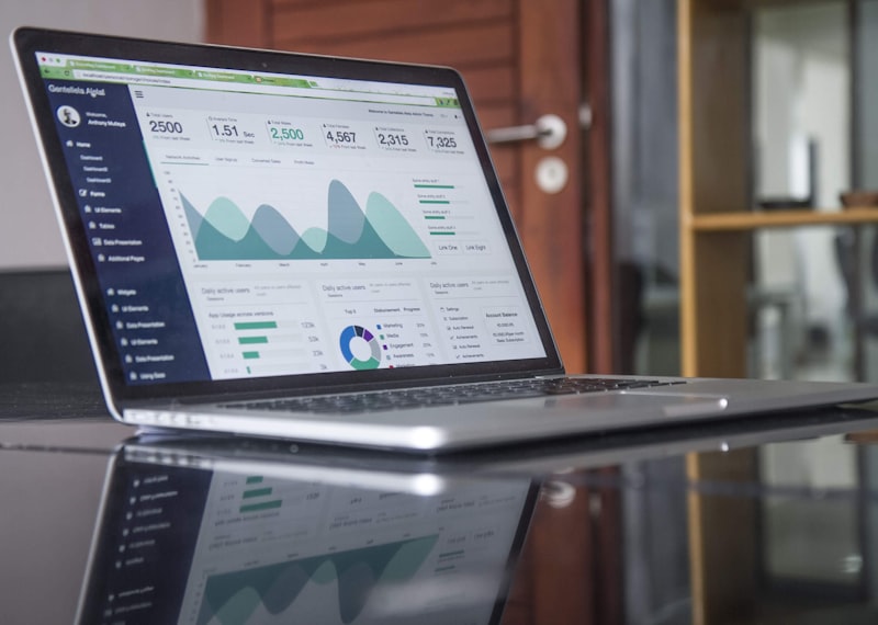 Visitor analytics