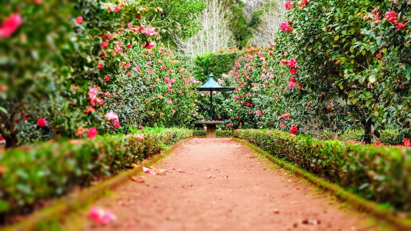 Complete landscape